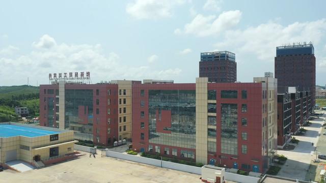 钦州港片区：燕窝深加工企业超过50家，年加工毛燕可达500吨